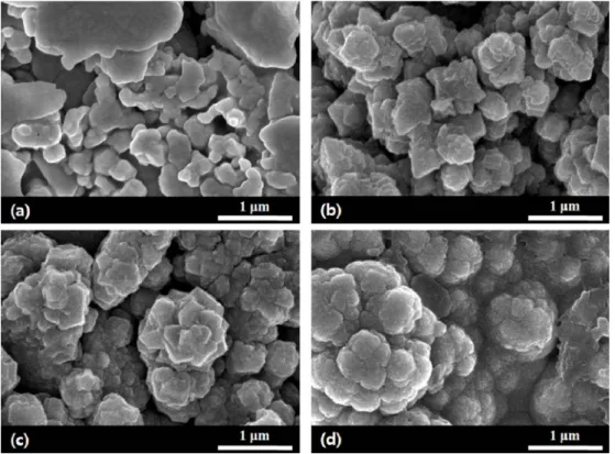 Fig. 3. FE-SEM Plane view images on screen printed Ag part in samples : (a) bare substrate, Cu films plated by using electroless solutions of (b) pH 6.5, (c) pH 7, and (d) pH 8 at 70 o C.
