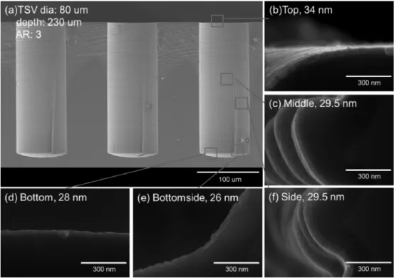 Fig. 1. Cross-section images of (a) TSV and Ru seed layer ; (b) top, (c) middle, (d) bottom, (e) bottom side and (f) side.