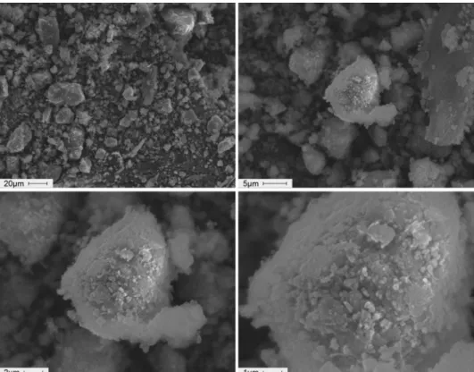 Fig. 6. SEM micrographs of Mg-10NbF 5  dehydrided at 593 K under 1.0 bar H 2  at n = 3 at various magnifications.