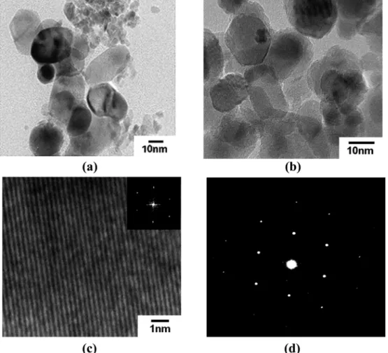 Fig. 3 shows the micro-structural characteristics of the particles formed during the pyrolysis process by using a