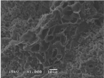 Fig. 7. SEM micrographs of fresh fracture surfaces of geopolymers. (a) R2, (b) R3, (c) R4, (d) R5, (e) T2, (f) T3, (g) T4, (h) T5.
