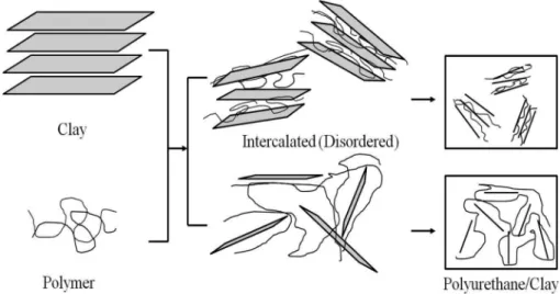 Fig. 1. Scheme of polymer/clay composites.