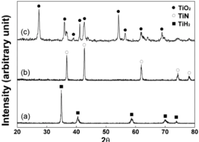 Fig. 3. Photograph of cross section of a fracture surface of TiH 2 specimen processed by freeze-drying.