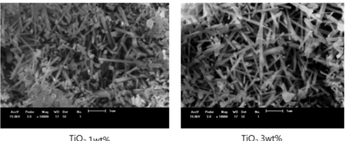 Fig. 13. SEM image of samples fired at 1250 o C/1h (a) TiO 2  1 wt% and (b) TiO 2  3 wt% addition.