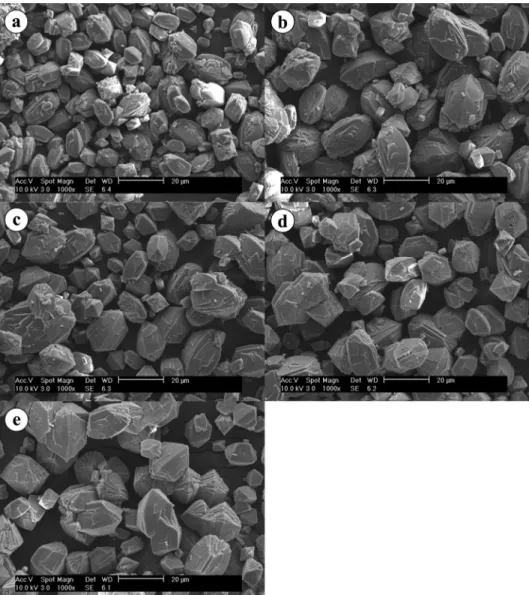 Fig. 1. SEM image of (Fe 1-x Mn x )C 2 O 4 ·2H 2 O (a) x = 0.1, (b) x = 0.2, (c) x = 0.3, (d) x = 0.4 and (e) x = 0.5.