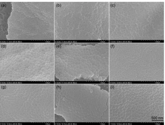 Fig. 6 은 Grade II 타이타늄을 (a) 2분, (b) 3분 (c) 4 분, (d) 5분, (e) 6분, (f) 7분, (g) 8분, (h) 9분, (i) 10분 동안  양극산화  후 TiO 2 나노튜브의  밑부분(bottom view) 을 FE-SEM으로 관찰한 사진이다