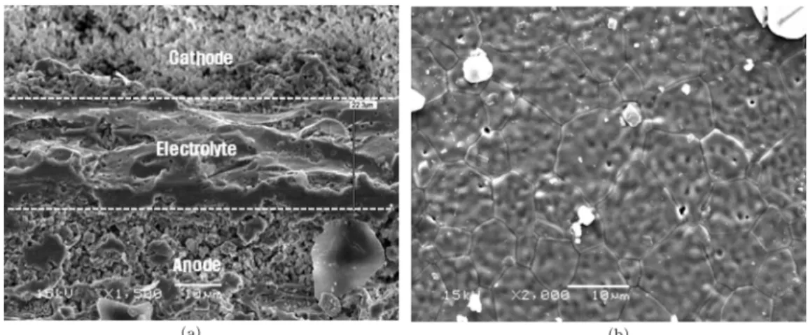 Fig. 4. Performance of (a) first cell and (b) second cell in segmented-in-series SOFC stack with different operating temperature.