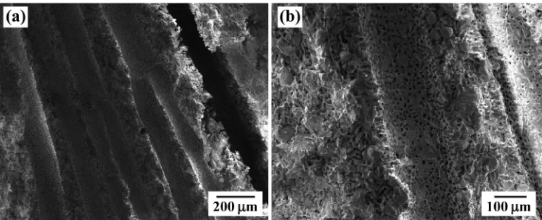 Fig. 4. XRD pattern of porous Al 2 O 3  with nano-sized Cu particles, hydrogen-reduced at 350 o C for 2 h.