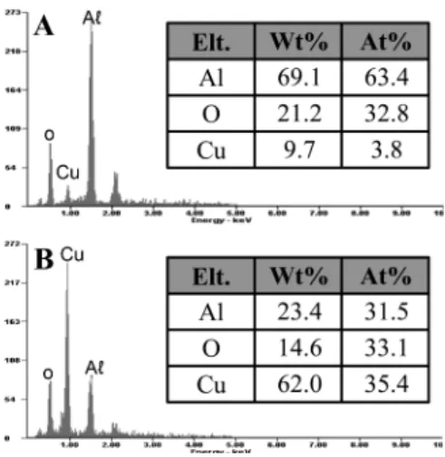Fig. 5. SEM and EDS analysis of porous Al 2 O 3 /Cu composite.