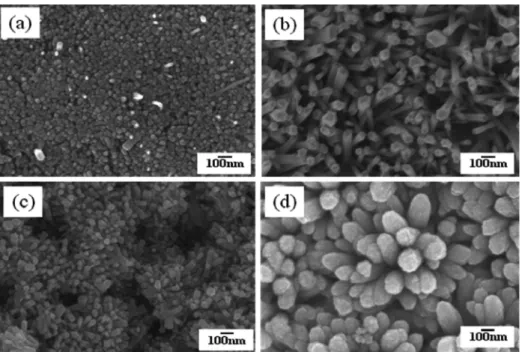 Fig. 3. Cross-sectional images of ZnO nanorods as functions of different precursor concentration and immersion time: (a) 0.005 M for 6 h, (b) 0.0075 M for 3.5 h, (c) 0.010 M for 40 minutes and (d) 0.015 M for 20 minutes.