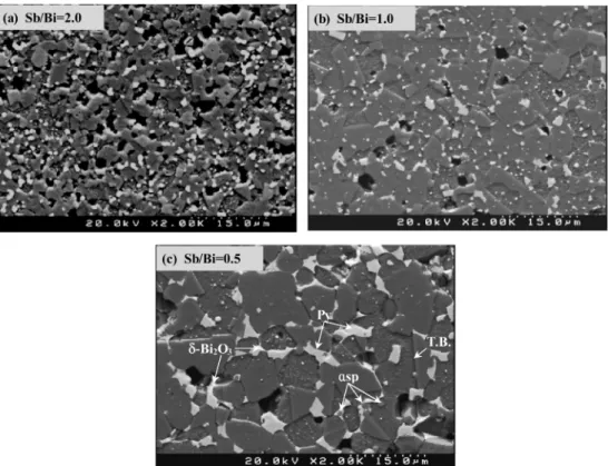 Fig. 3 은 ZBS(CoCr) (Sb/Bi = 2.0, 1.0, 0.5)계를 1000