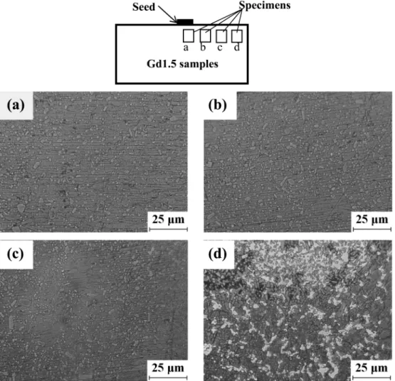 Fig. 7. Optical micrographs of the TSMG processed Gd1.5 bulk sample: (a) is a region near a Nd123 seed, (b) and (c) are intermediate regions and (d) is a region near a sample edge.