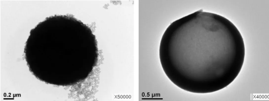 Fig. 5. Cross section image of the hollow silica sphere, U1. (a) image after mold and (b) image by focused ion beam.