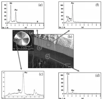 Fig. 2. Shape, cross-sectional images and EDX analysis results of pogo pins before testing : (a) shape, (b) cross-sectional image, EDX results of (c) surface, (d) base, (e) the first coating layer and (f) the second coating layer.