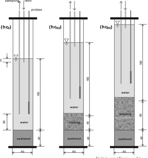 Fig 3. Schematic Experiment Conditions: (hc 0 ) Contaminated sediment with no capping; (hc 40 ) Contaminated sediment layer with sand capping on top; (hc 80 ) Contaminated sediment layer with double capping thickness.