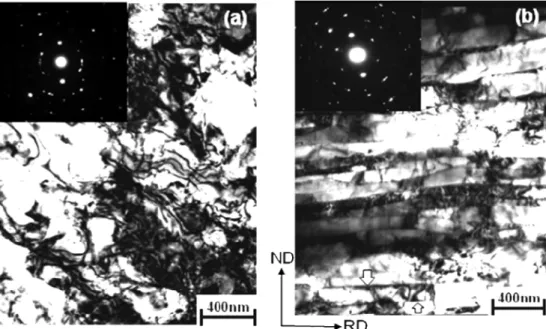 Fig. 3. TEM micrographs after annealing of IF steel processed by 3 cycles of six-layer stack ARB