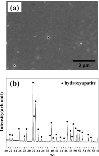 Fig. 3. (a) FE-SEM micrograph and (b) XRD pattern of bovine bone derived-HA powders after calcination at 800 o C for 1 h.