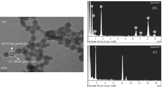 Fig. 1. Experimental procedure for the synthesis of Fe/SiO 2  core-shell type composite nanoparticles by reverse micelle and sol-gel processing.
