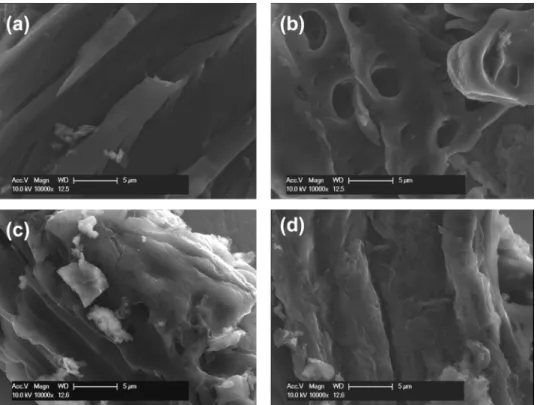 Fig. 7 shows the effect of activation temperatures on specific surface area BET (S BET ) parameters of the  acti-vated carbon samples