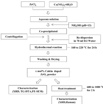 Fig. 1. Schematic representation of processing steps for the pre- pre-paration of  x mol% CaO-ZrO 2   ( x = 0, 1.5, 3, 8) nanopowders via hydrothermal process.