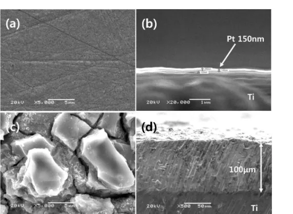 Table 1. Surface roughness of DSA and sputtered-Pt on Ti electrodes.