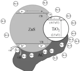 Fig. 5 shows the time series of Rh.B degradation using AC/TiO 2 , ZnS/TiO 2  and AC/ZnS/TiO 2  under visible light irradiation