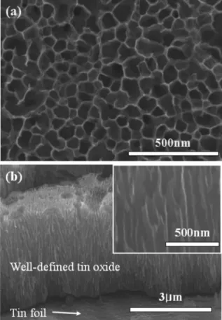 Fig. 1  에  제시된  각  제조  단계별  표면  및  단면  형상 은  주사  전자  현미경(Scanning Electron Microscope,  S-4800, HITACHI, Japan)  으로,  조성은  에너지  분산  분광 장치(Energy Dispersive Spectroscopy, 7593-H EMAX, HORIBA, Japan)  로  분석하였다