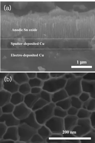 Fig. 3. Cross-sectional view of the bi-layer of anodic porous tin oxides with well-defined nano-channels with a long range order and discrete nano-channels with lots of lateral micro-cracks (After the fabrication step 2 in Fig