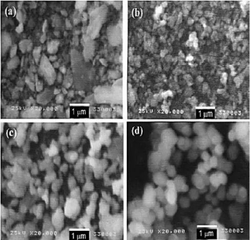 Fig. 5. (a and b) SEM micrographs of Y 2 O 3  and Al 2 O 3  powders before and (c and d) after calcination at 1250 o C with 5% BaF 2 .