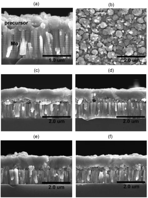 Fig. 4. X-ray diffraction pattern of (a) precursor with [Cu]/[In+Ga] = 0.94 and (b) CIGS film with [Cu]/[In+Ga] = 0.92