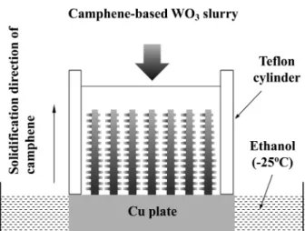 Fig. 1. SEM image of WO 3  powder.