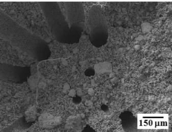 Fig. 8. SEM micrographs of the porous W, hydrogen-reduced at 800 o C for 30 min and sintered at 900 o C for 1 h using a WO 3  contents of (a and b) 10 vol% and (c and d) 15 vol%.