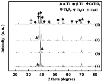 Fig. 8. XRD patterns of Ti-35%Nb-7%Zr-10%HA composites using;