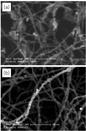 Fig. 3. The SEM images of the CNT structures, synthesized by arc discharge, (a) before and (b) after coating with ZnO by pulsed laser deposition.
