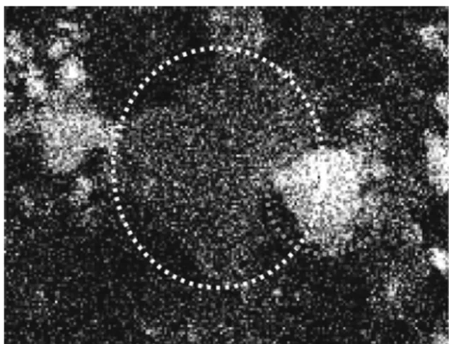 Fig. 4. Ingredient of briquette ash each particle by EDAX analysis.