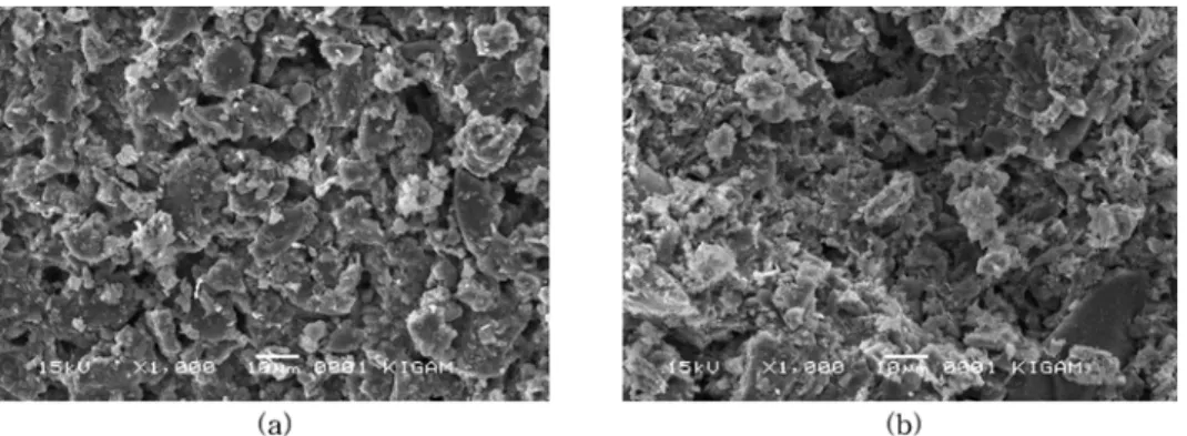 Fig. 8. Scanning electron micrographs of briquette ash treated with 12M NaOH solution at 80 o C for (a) 7day, (b) 28day.