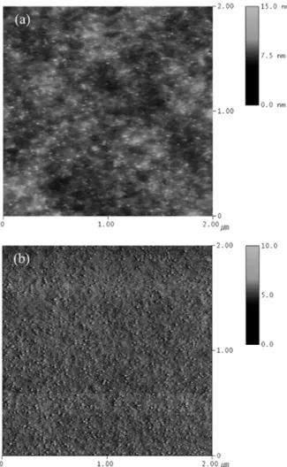 Fig. 2. Topography (a) and phase image (b) of PEDOT : PSS film containing 1 wt.% of Ag nanoparticles.