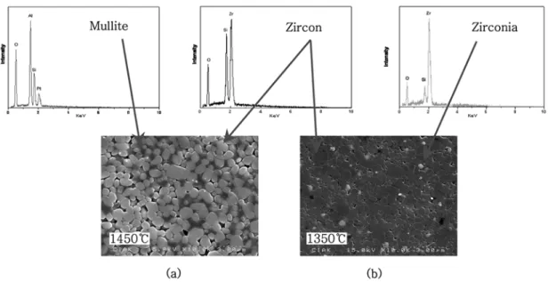 Fig. 5. SEM images and EDS sopt analyses of specimens with various sintered temperature