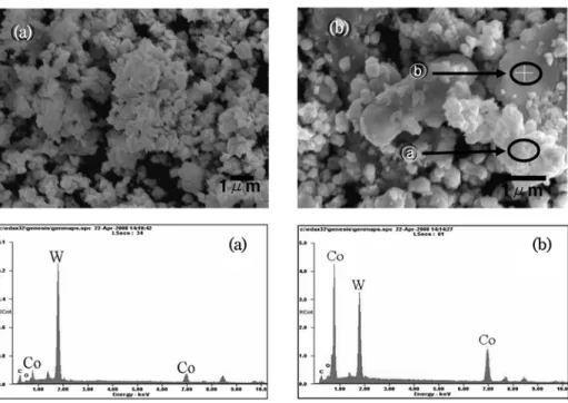 Table 1. Relative density and Vickers hardness of WC- WC-3 wt%Co compacts fabricated by SPS
