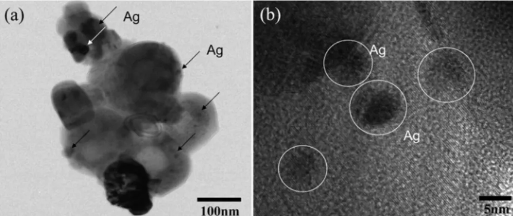 Fig. 6. (a) TEM and (b) HRTEM images of 7 wt% Ag spot-coated TiO 2 -SrO composite powders.