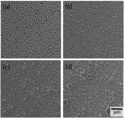 Fig. 3. Micro structure of Ge thin film at (a) 550 o C, (b) 600 o C, (c) 650 o C and (d) 700 o C with Ge(allyl) 4  precursor.