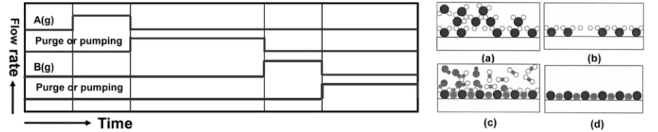 Fig. 2. Injector diagram of Proximity Scan-ALD. Each injector is apart from the substrate about 5~10 mm, injecting the Mo source or oxidizing agent
