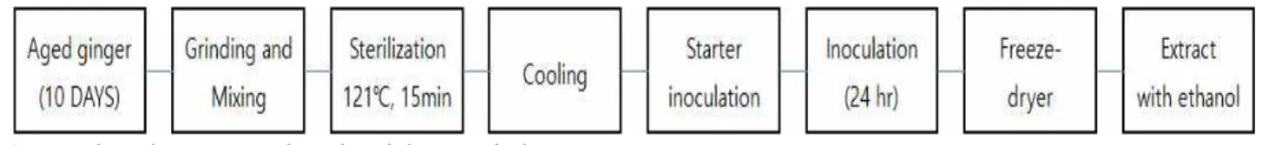 Fig. 1. Manufacturing process of aged and fermented ginger.