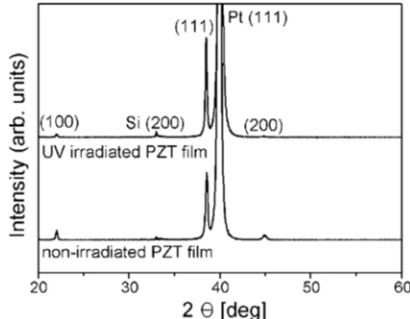 Fig. 3. SEM micrograph of a direct-patterned PZT film after rinsing in hexane.