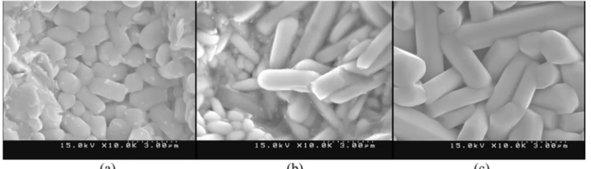 Fig. 5. SEM images of BNT ceramic containing 10wt.% of iso-component glass as a function of sintering temperature, (a) 1000 o C, (b) 1100 o C and (c) 1200 o C.