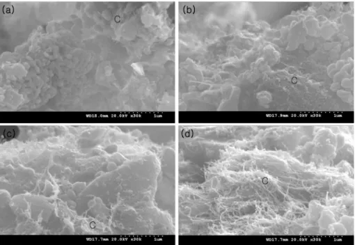 Fig. 5. SEM images of CNT patterns after surface treatment by taping method for different diameters of Ag nano powders