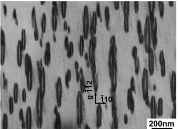 Fig. 8. A schematic illustration of the repeated formation of two variants of interstitial-vacancy ordered domains in a single needle.