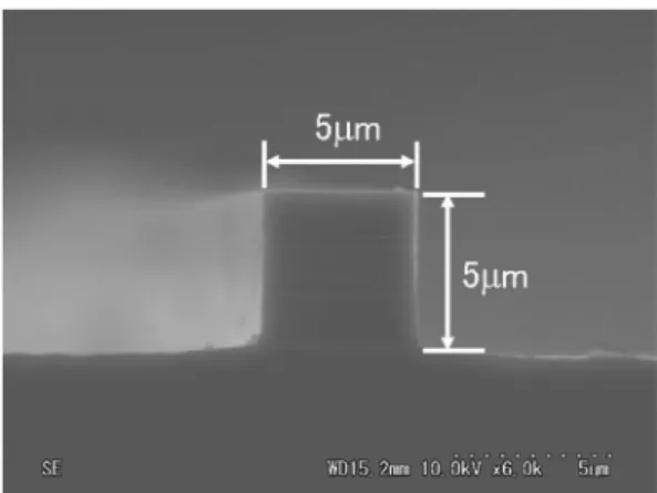 Fig. 2. Cross-sectional scanning electron microscope (SEM) image of a fabricated ridge-waveguide.