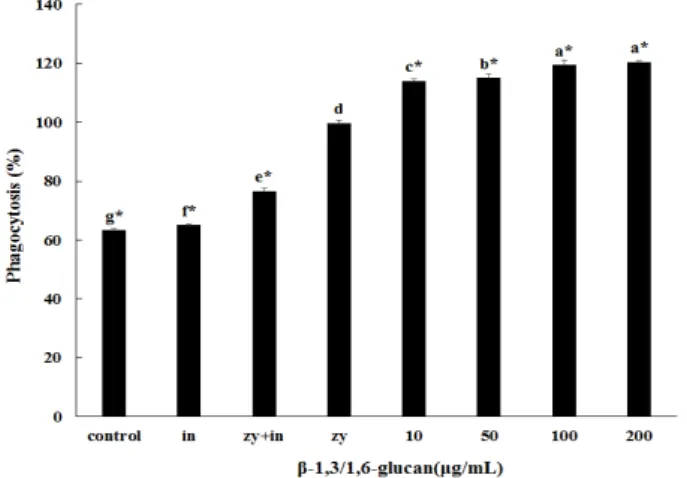 Fig. 4. Effect of β-1,3/1,6-glucan on phgocytic activity in periomeal macrophage.