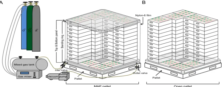 Fig. 1. Schematic diagram of MAP pallet (A), open pallet (B). The MAP pallet was wrapped using customized polyvinyl chloride (PVC) panel, nylon-6 film, and silicon banding ring.